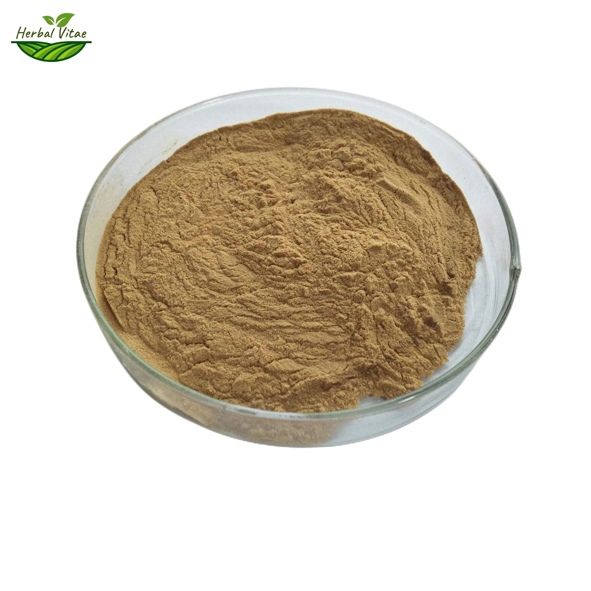 White Willow Bark Extract Powder
