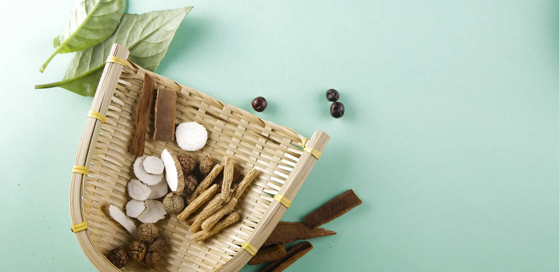 Premium Herbal Ingredients: Nature's Versatile Solution for a Healthy Life