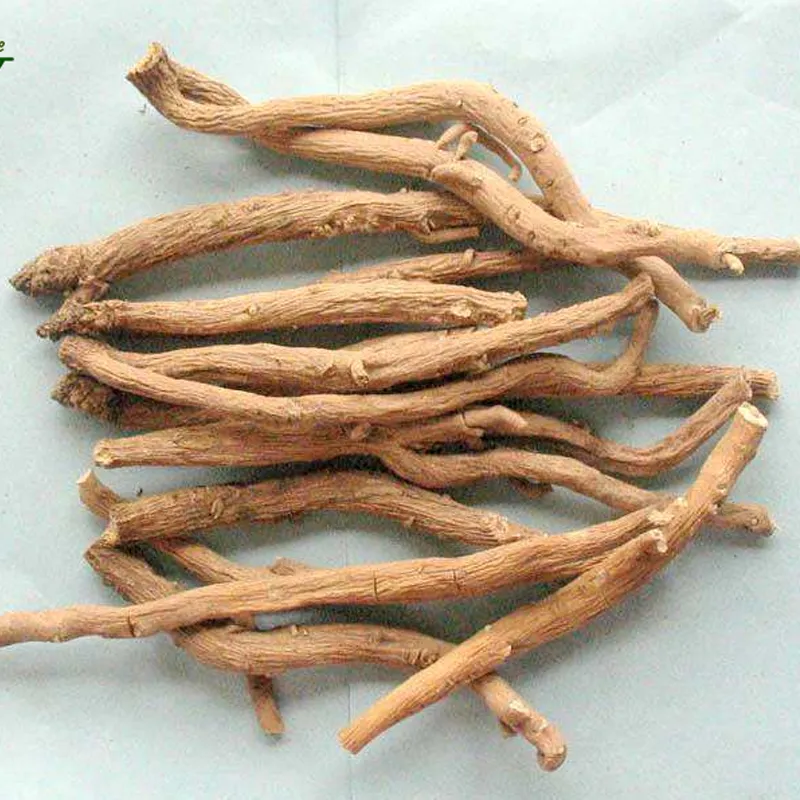 Indigowoad Root
