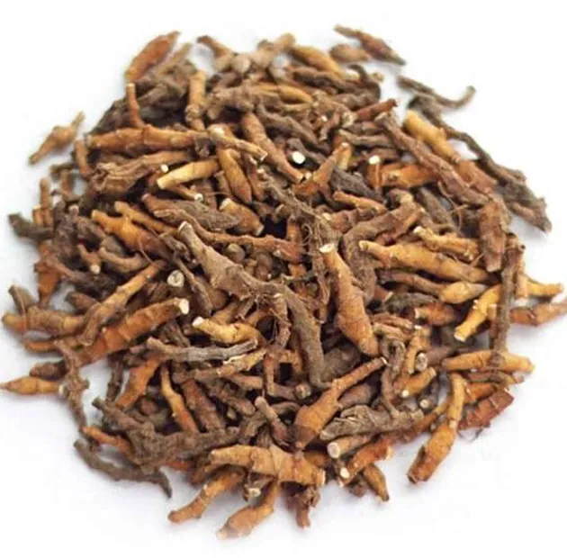 Irkutsk Anemone Rhizome