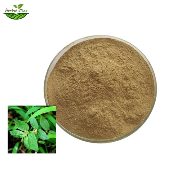 What Is Asthma Plant Extract? Benefits, Uses & Scientific Evidence Explained